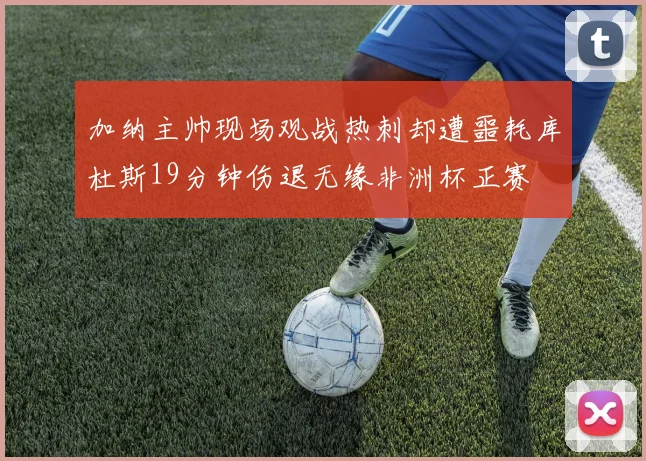 加纳主帅现场观战热刺却遭噩耗库杜斯19分钟伤退无缘非洲杯正赛